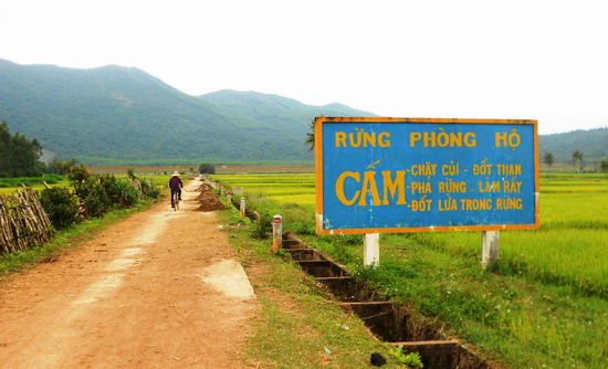 09 acts strictly prohibited in forestry activities in Vietnam